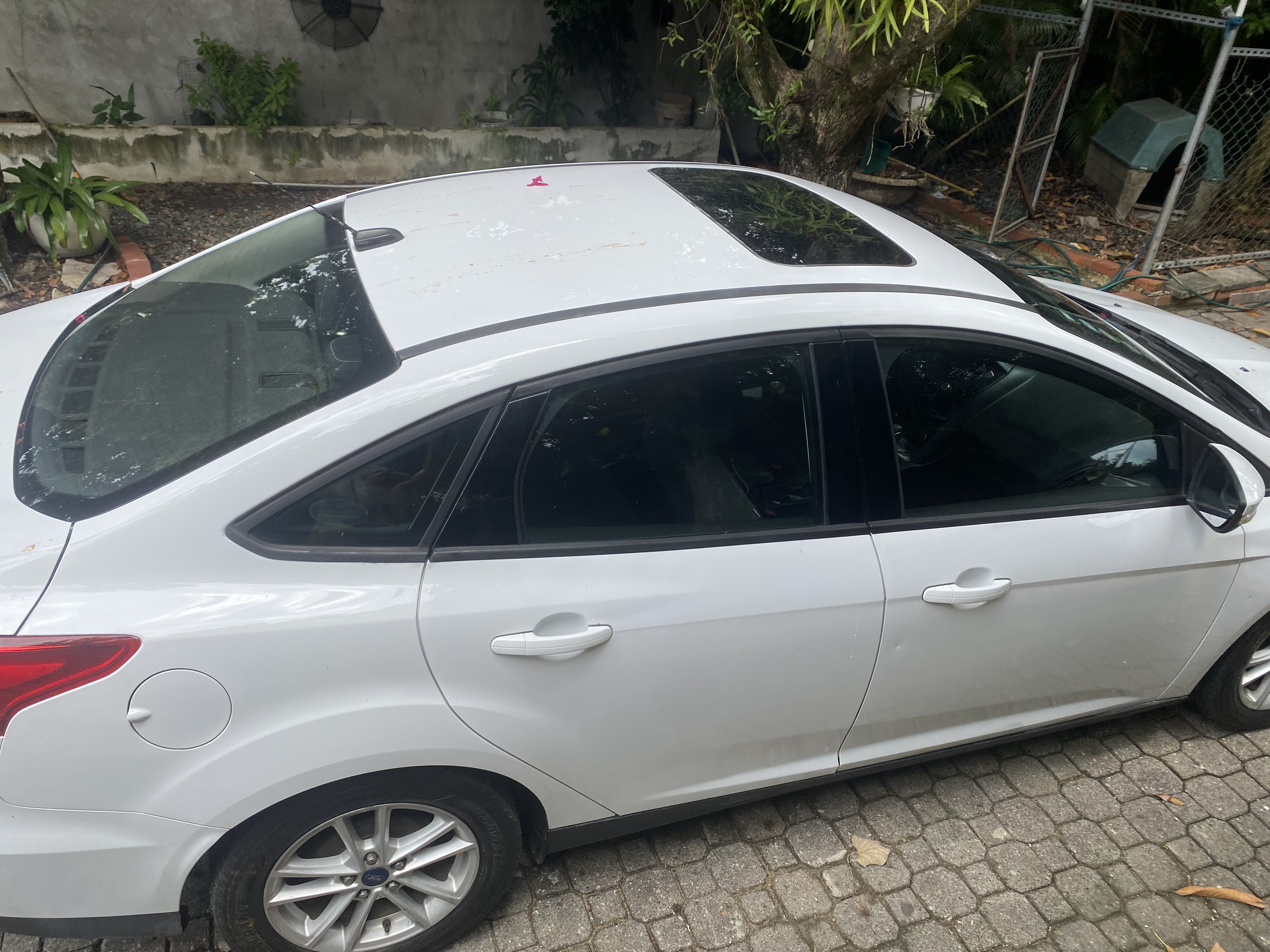carros - Ford Focus SE 2015 1