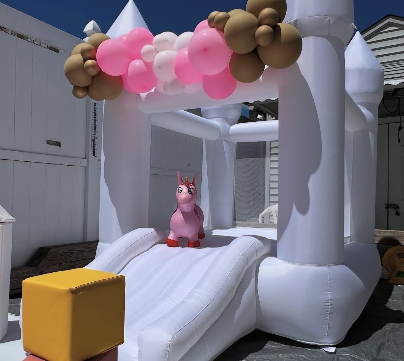 servicios profesionales - inflable, juegos y diversión para cumpleaños  2