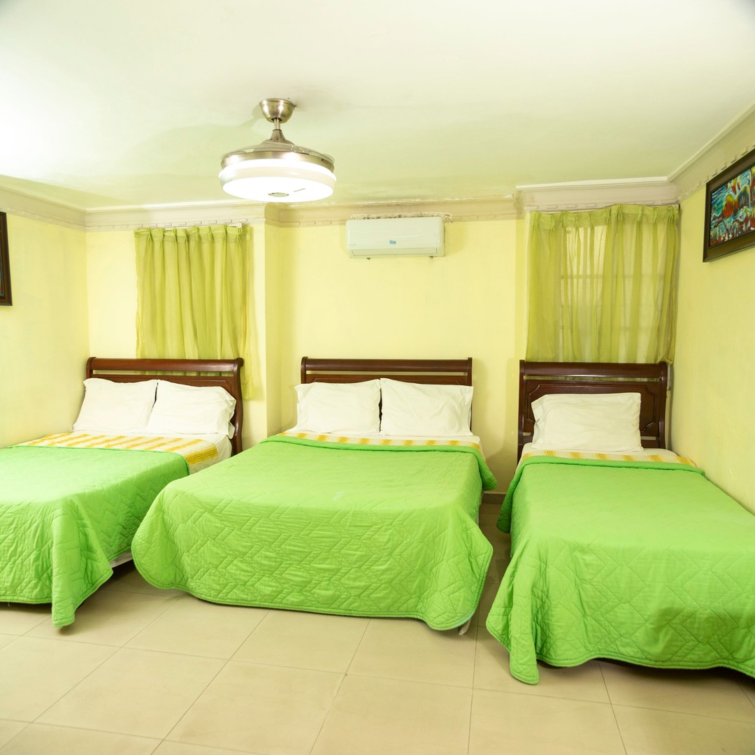 casas vacacionales y villas - Hotel en venta en Gazcue 4