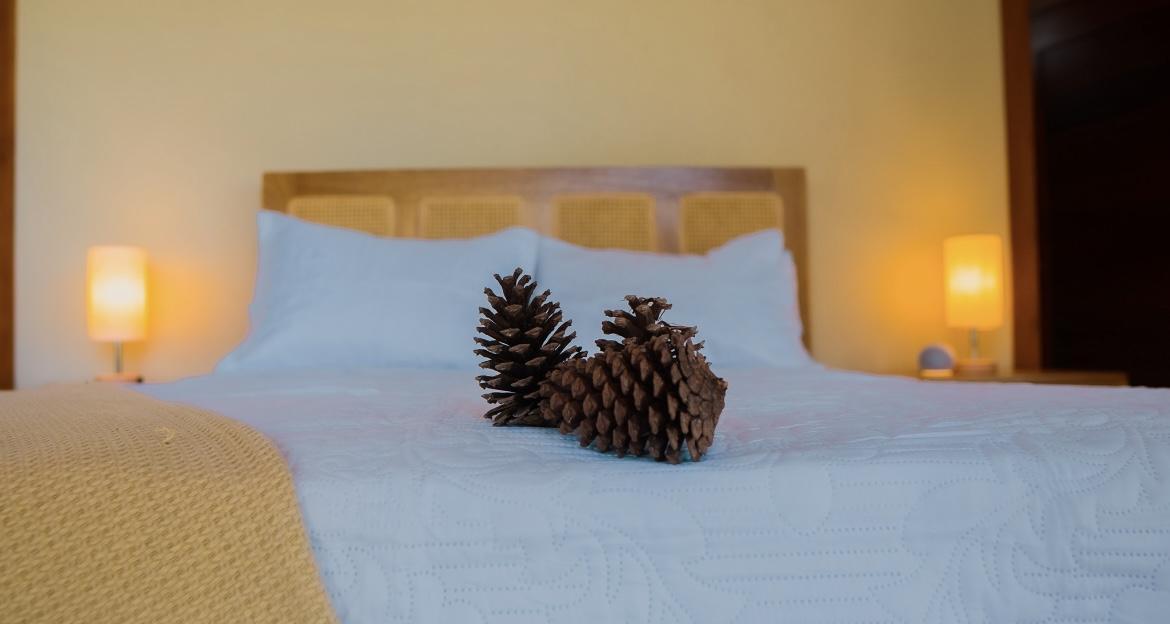 casas vacacionales y villas - Villa tipo bungalow de venta en Jarabacoa 9