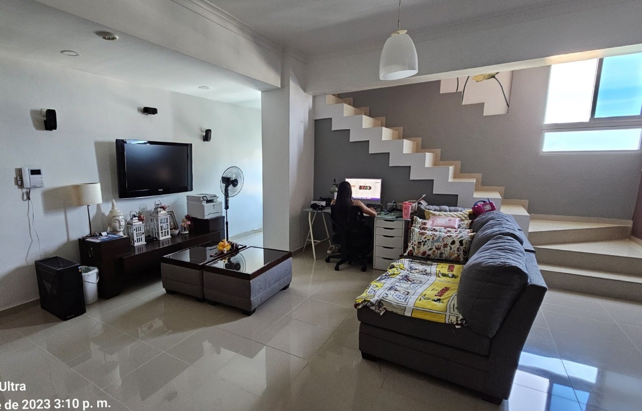 penthouses - Apartamento Penhouse de 3 niveles, Frente Mirador Sur (A,N), Distrito Nacional 8