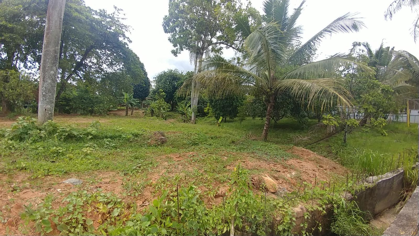 solares y terrenos - VENTA SOLAR DE 1,087M2 – PIEDRA BLANCA BONAO 2