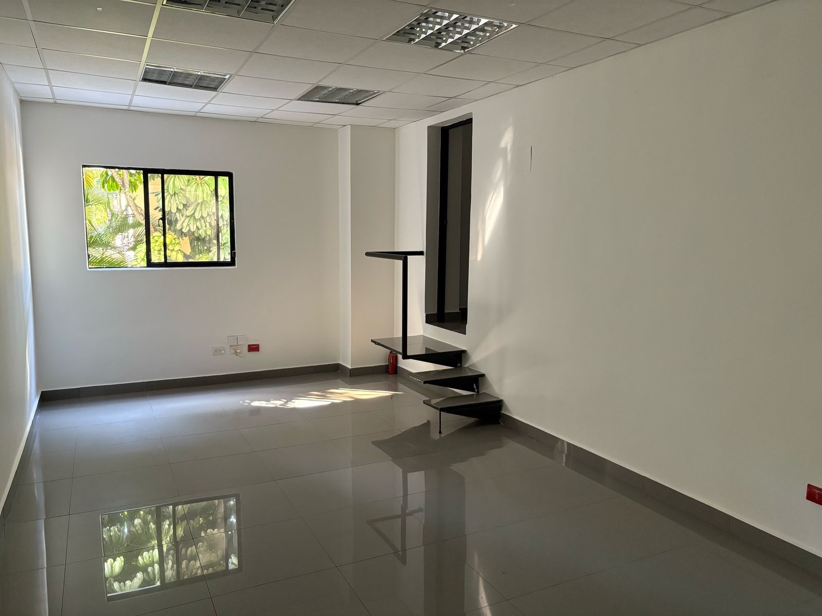 oficinas y locales comerciales - LOCAL COMERCIAL  3