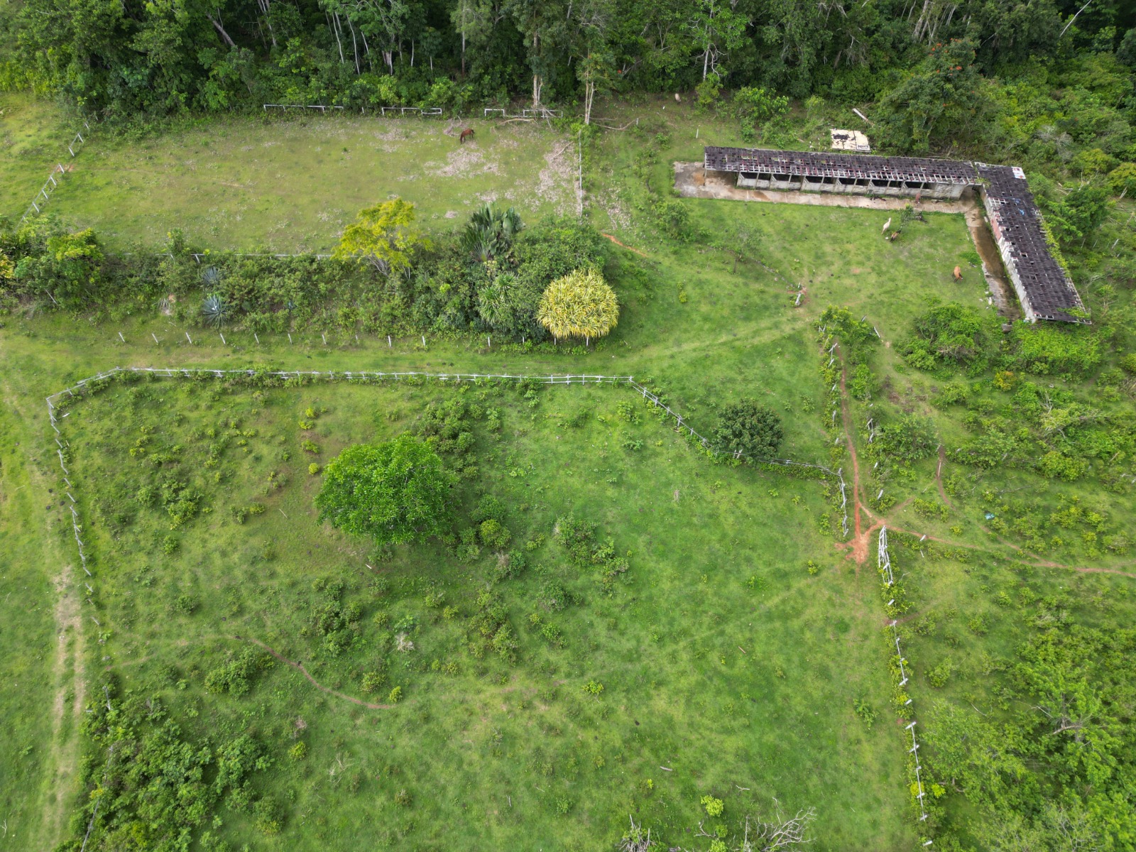 solares y terrenos - IMPRESIONANTE TERRENO EN VENTA: MÁS DE 19 HECTÁREA