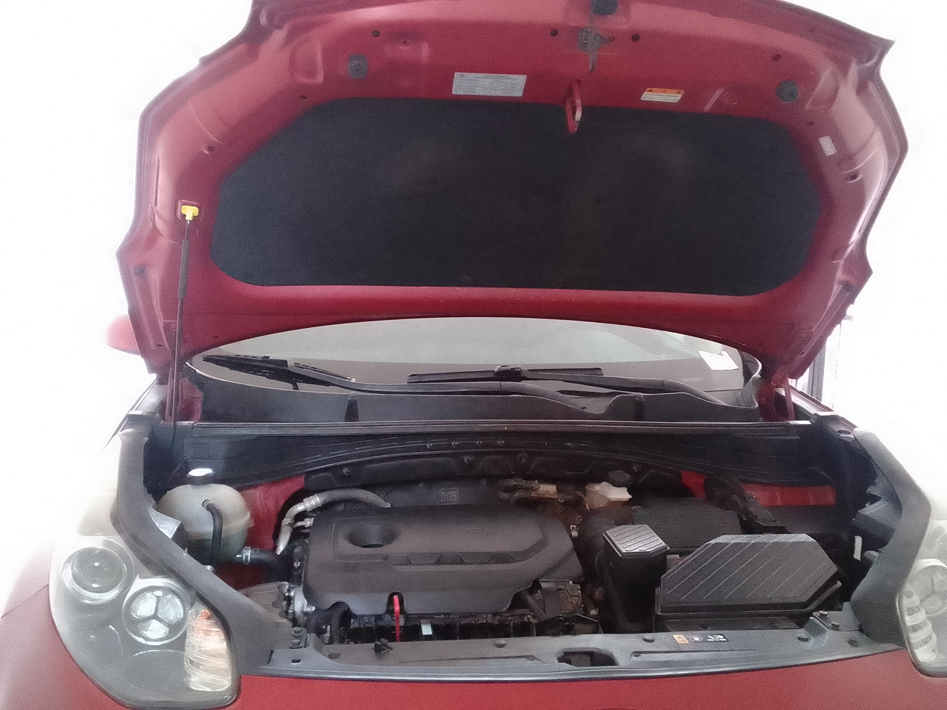 jeepetas y camionetas - Kia Sportage clean carfax 2019 5