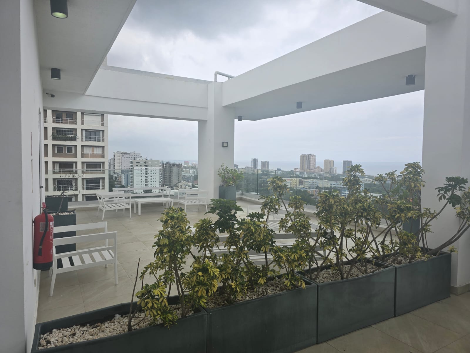 oficinas y locales comerciales - LOCAL PARA OFICINA EN ALQUILER LA ESPERILLA 2