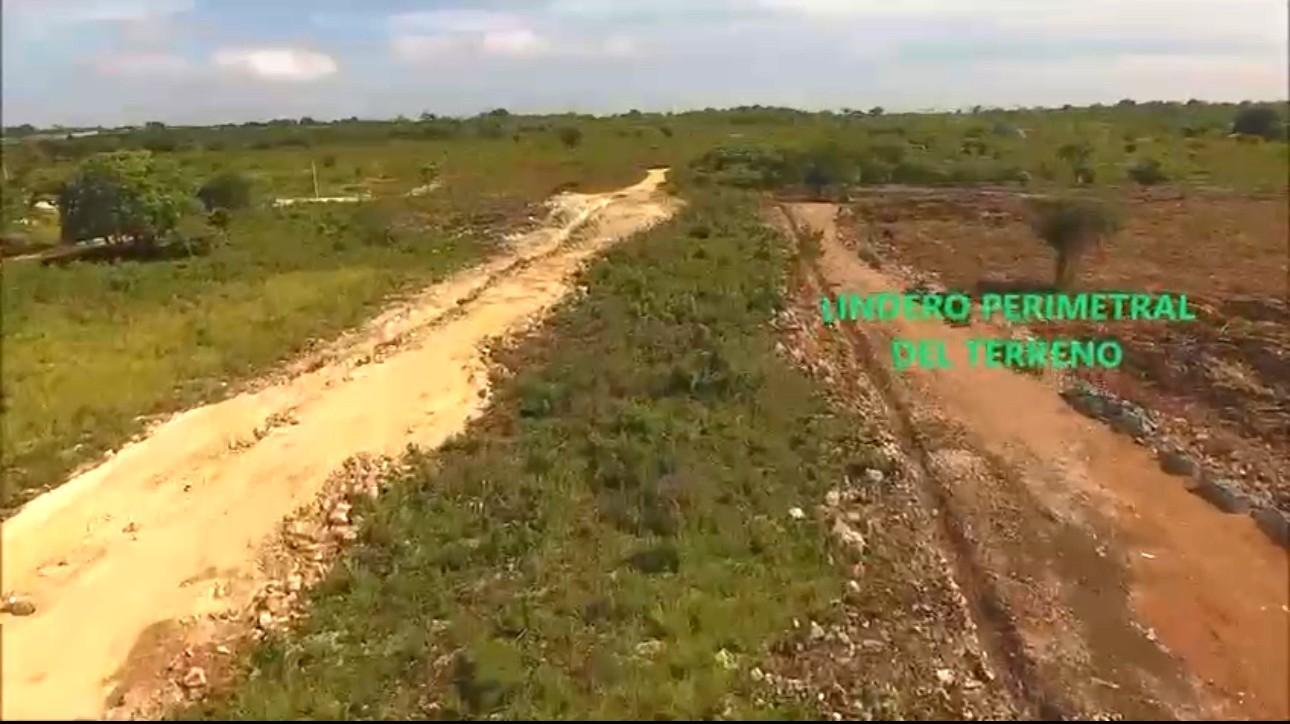 solares y terrenos - VENTA SOLAR DE 7,542.06M2 EN LA CALETA-BOCA CHICA 2