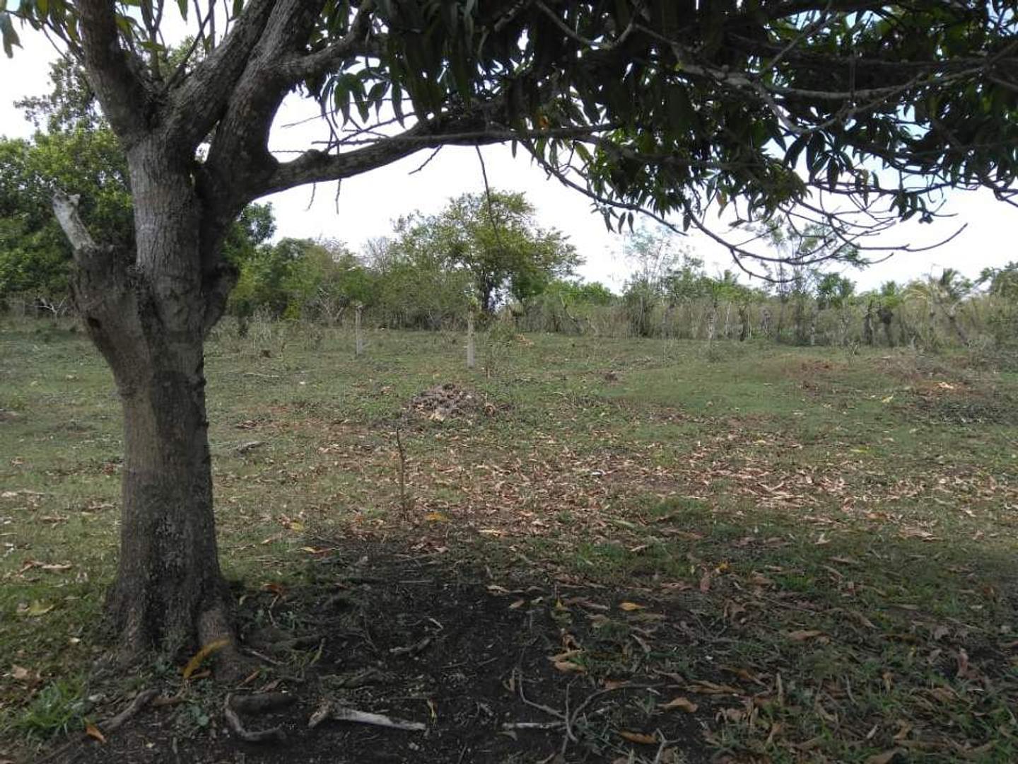 solares y terrenos - Terreno en Venta de oportunidad 4