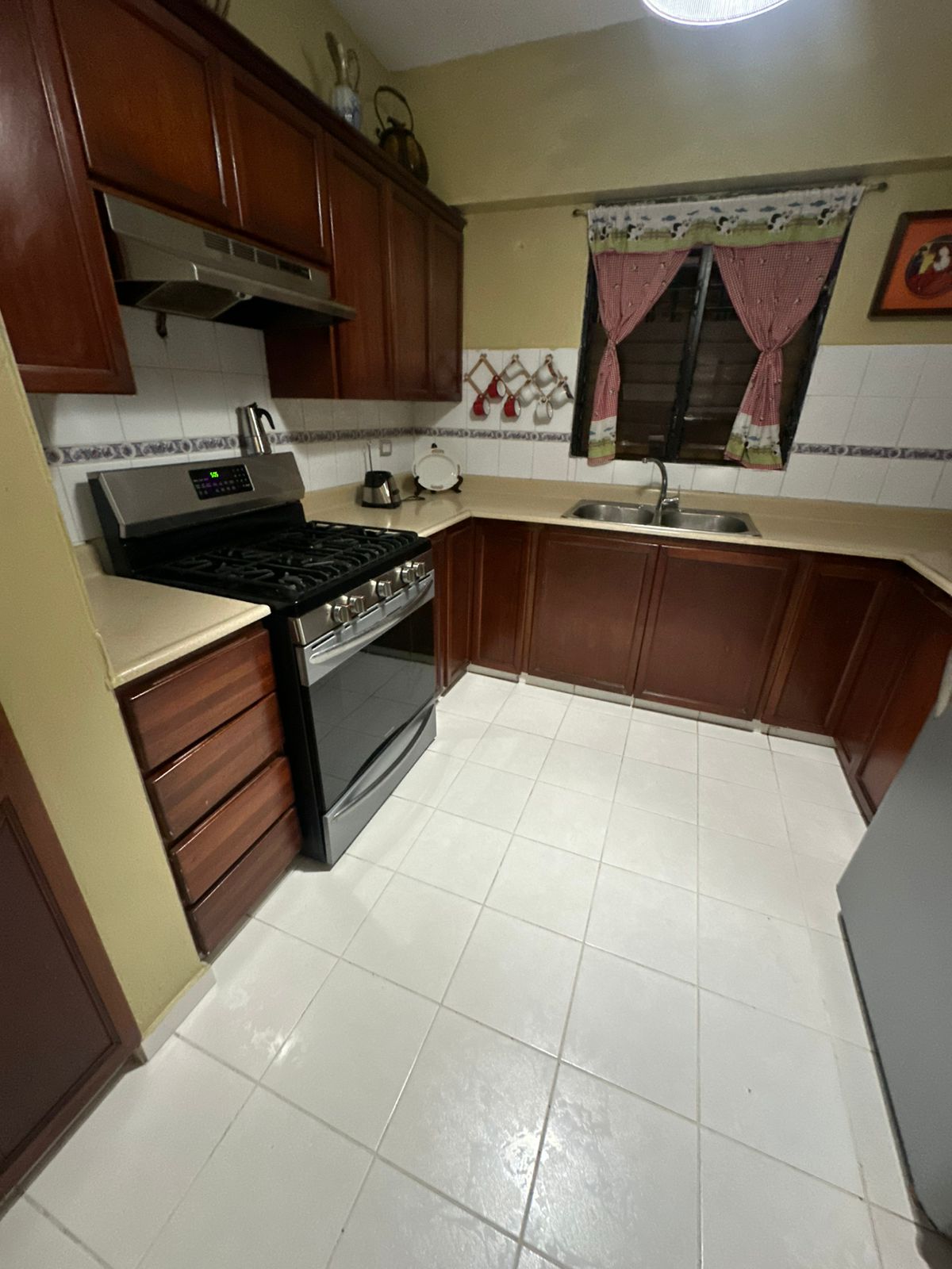 apartamentos - Vendo apartamento en Urbanización Fernández  6