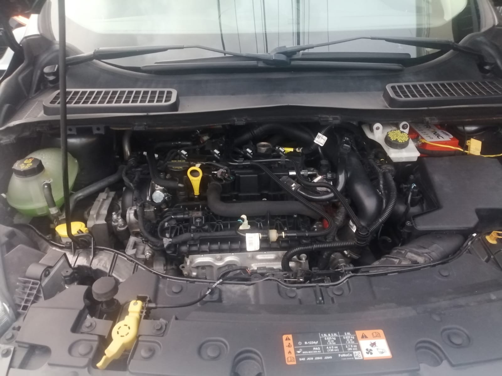 jeepetas y camionetas - FORD ESCAPE SE 2019, Recién Importada, Excelente.  4