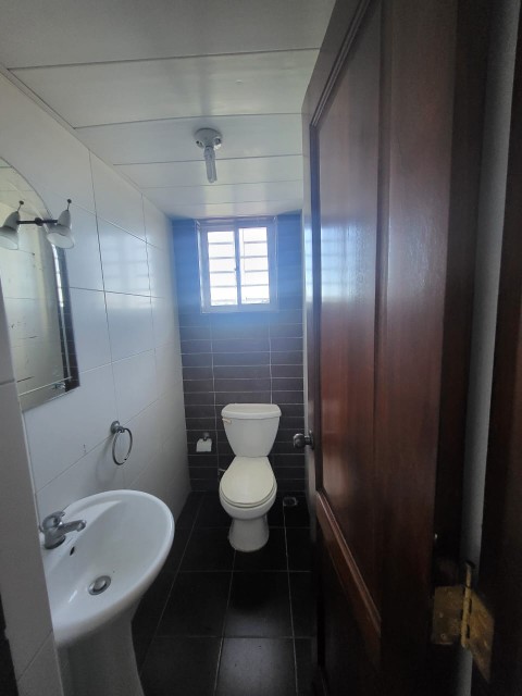 apartamentos - Se alquila apartamento  en Zona Universitaria super céntrico  1