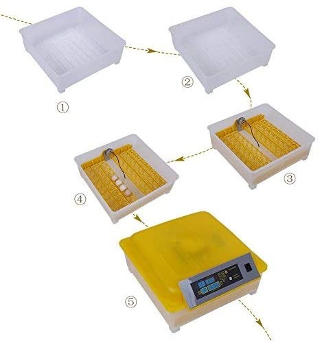 equipos profesionales - Incubadoras de 48 huevos digital automatico para Pollo Aves de corra 7