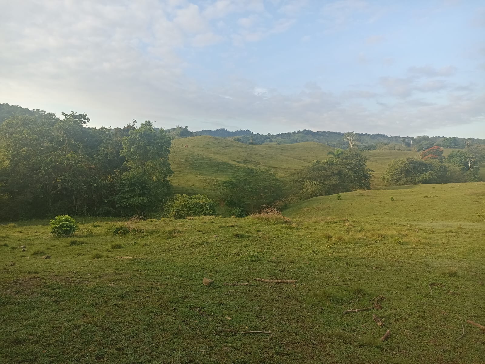solares y terrenos - 🐄 Finca Ganadera en Venta – A Solo 45 Minutos de  5