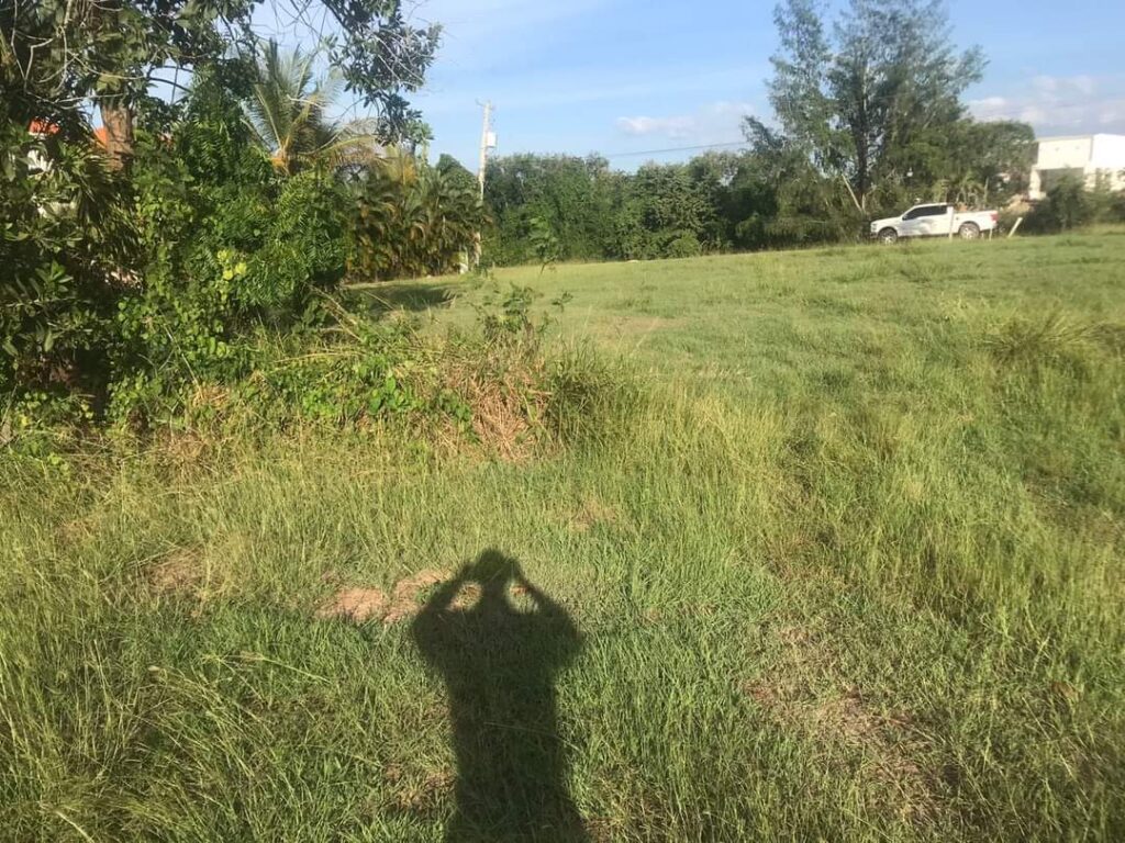 solares y terrenos - TERRENO EN STAR HILLS, PUERTO PLATA 2