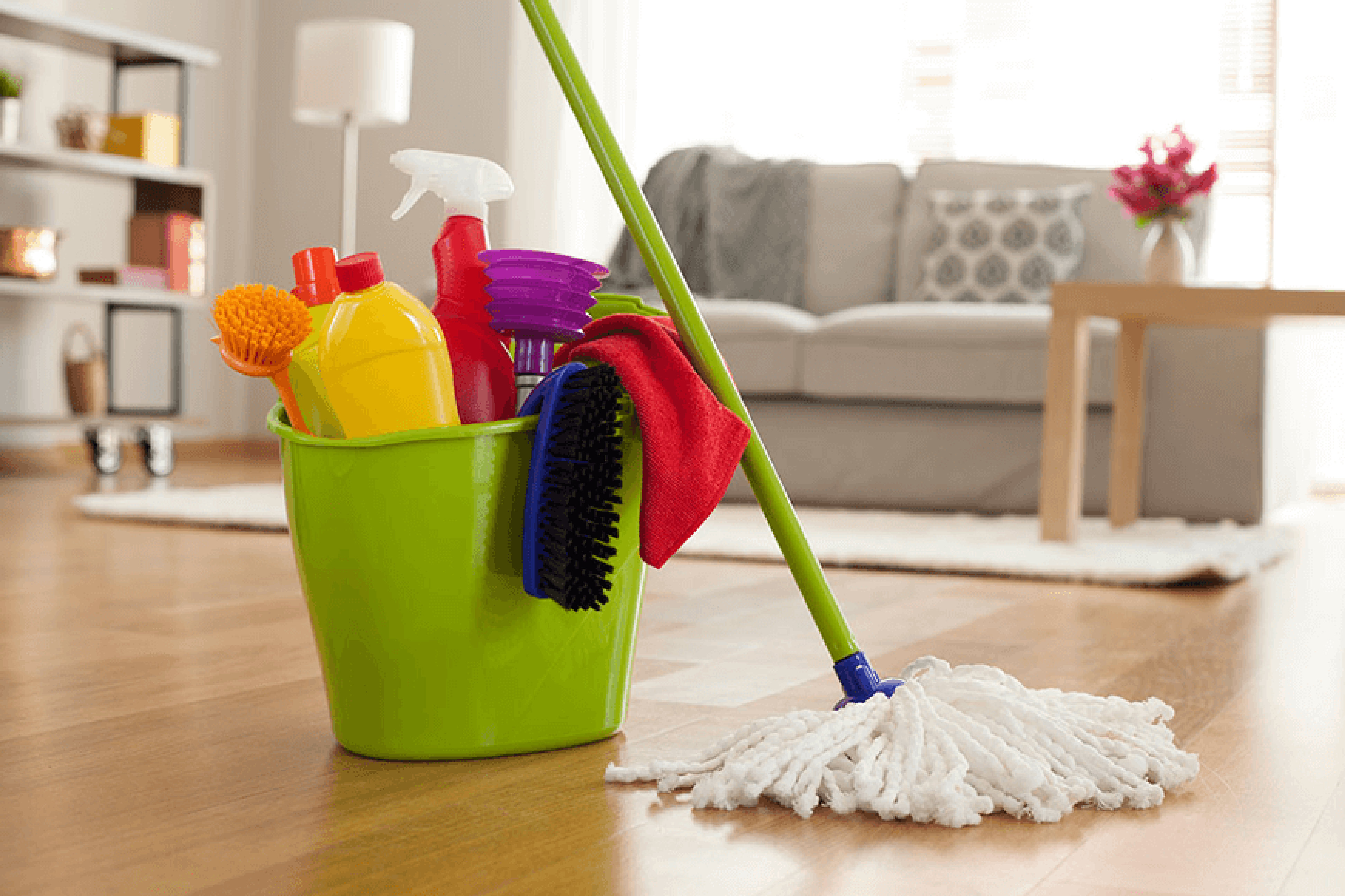 servicios profesionales - limpieza de casa  0