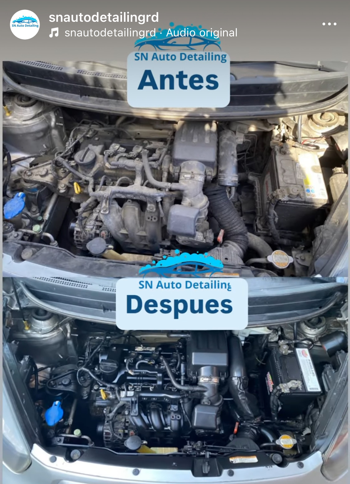servicios profesionales - LIMPIEZA DE MOTOR A VAPOR 