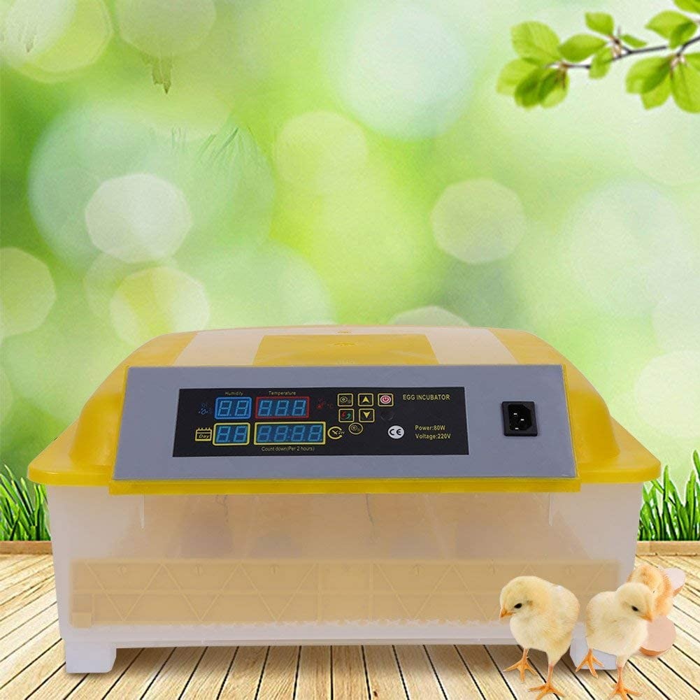 equipos profesionales - Incubadoras de 48 huevos digital automatico para Pollo Aves de corra 8