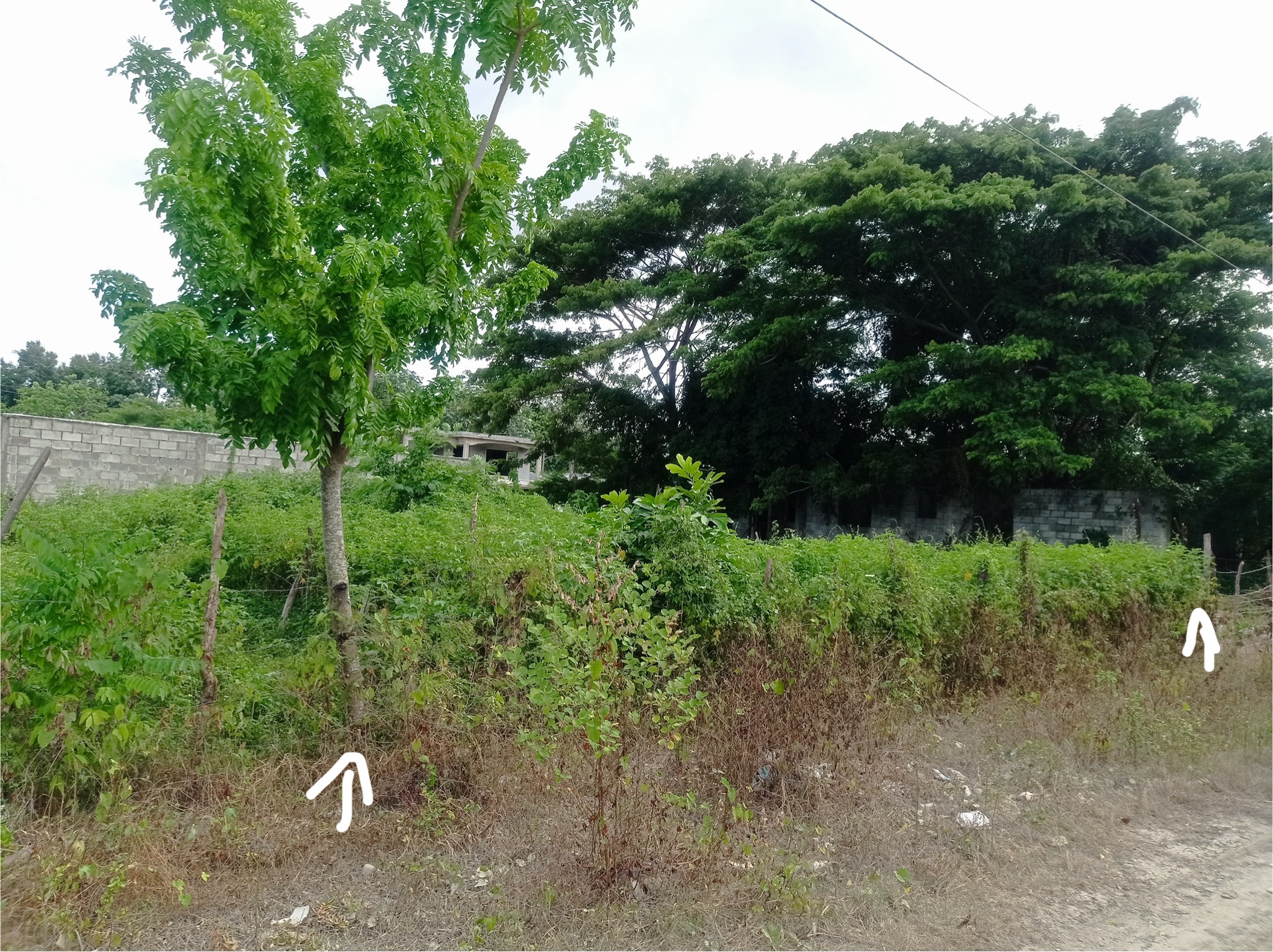solares y terrenos - Solar en venta San Cristóbal 