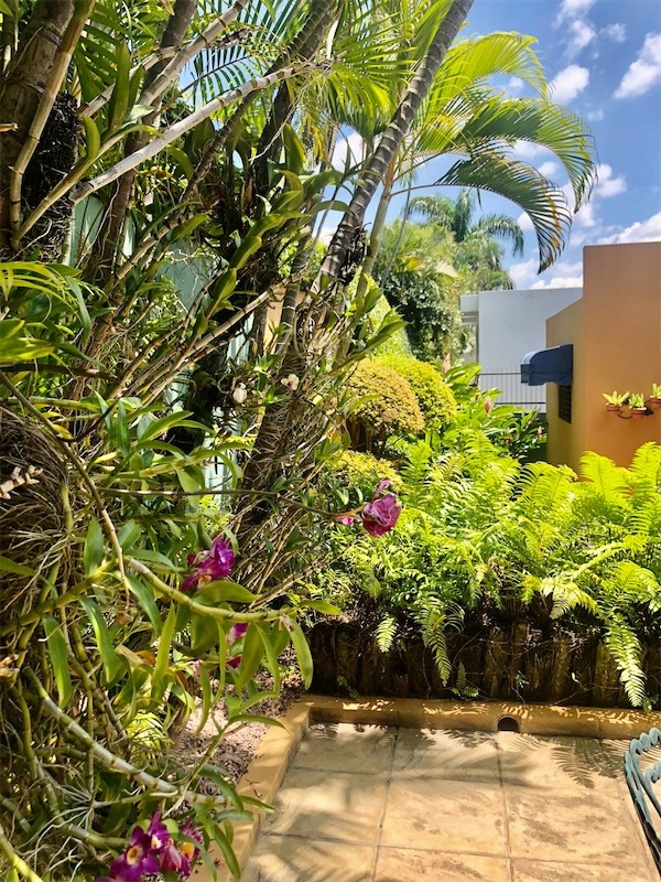 casas - Casa de alquiler en Los Cerros de Gurabo 3