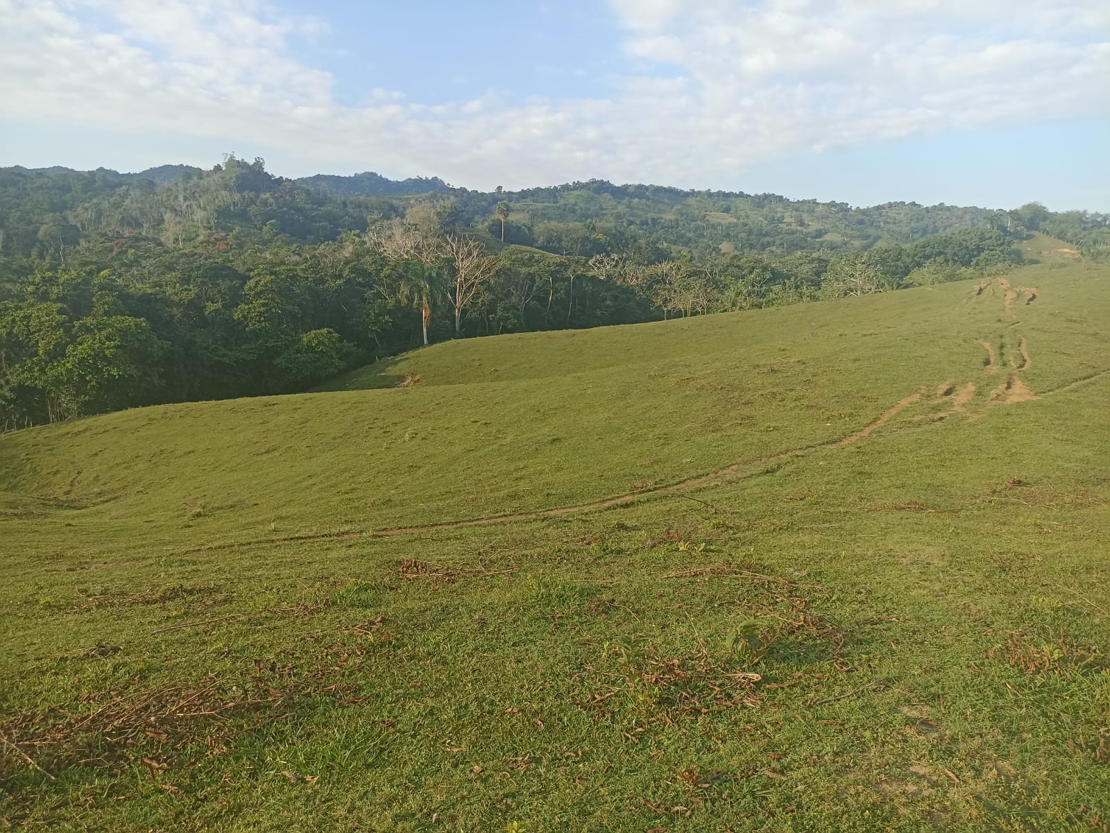 solares y terrenos - 🐄 Finca Ganadera en Venta – A Solo 45 Minutos de  6