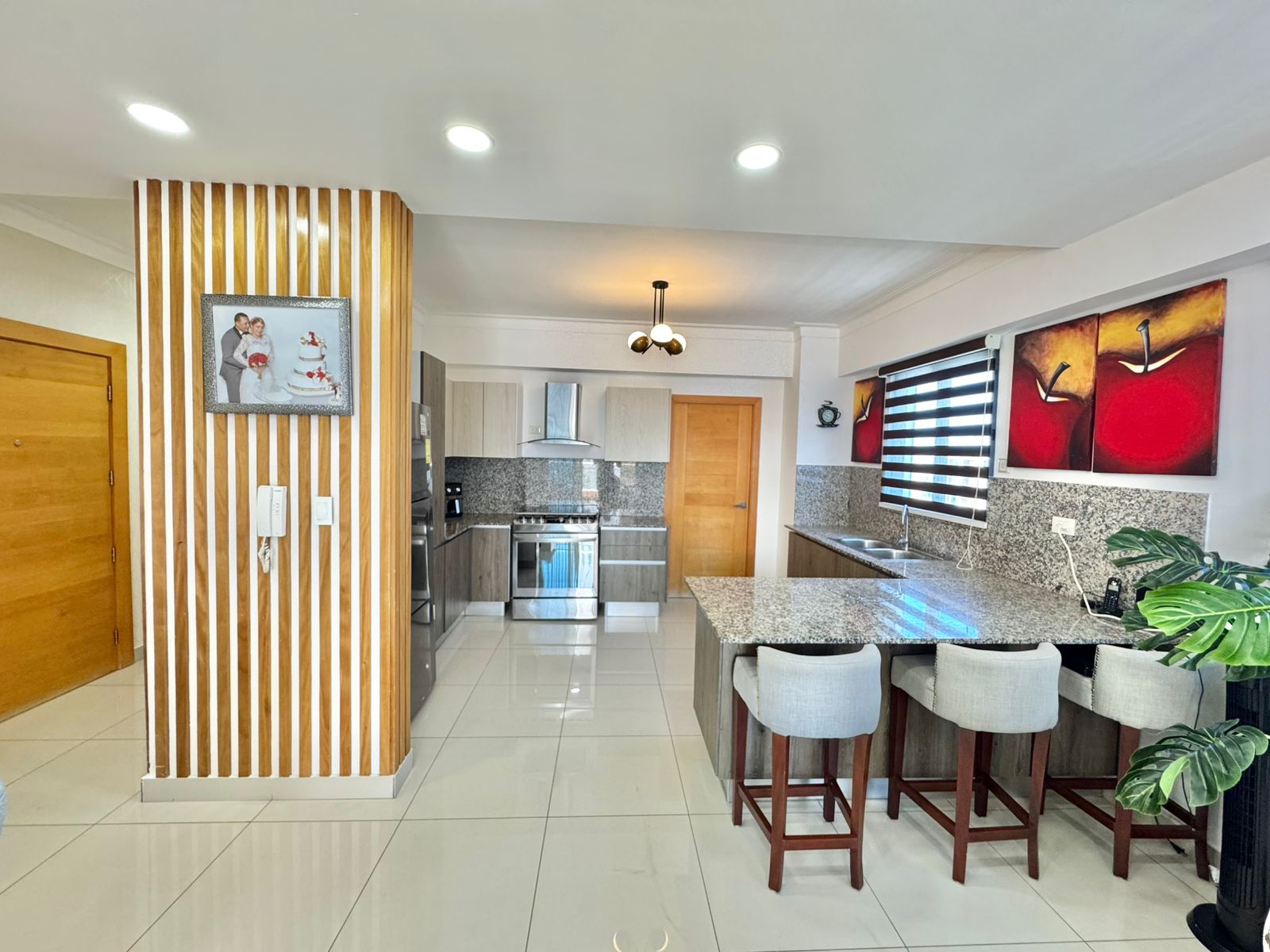 penthouses -  Se Vende Penthouse en el NACO 9