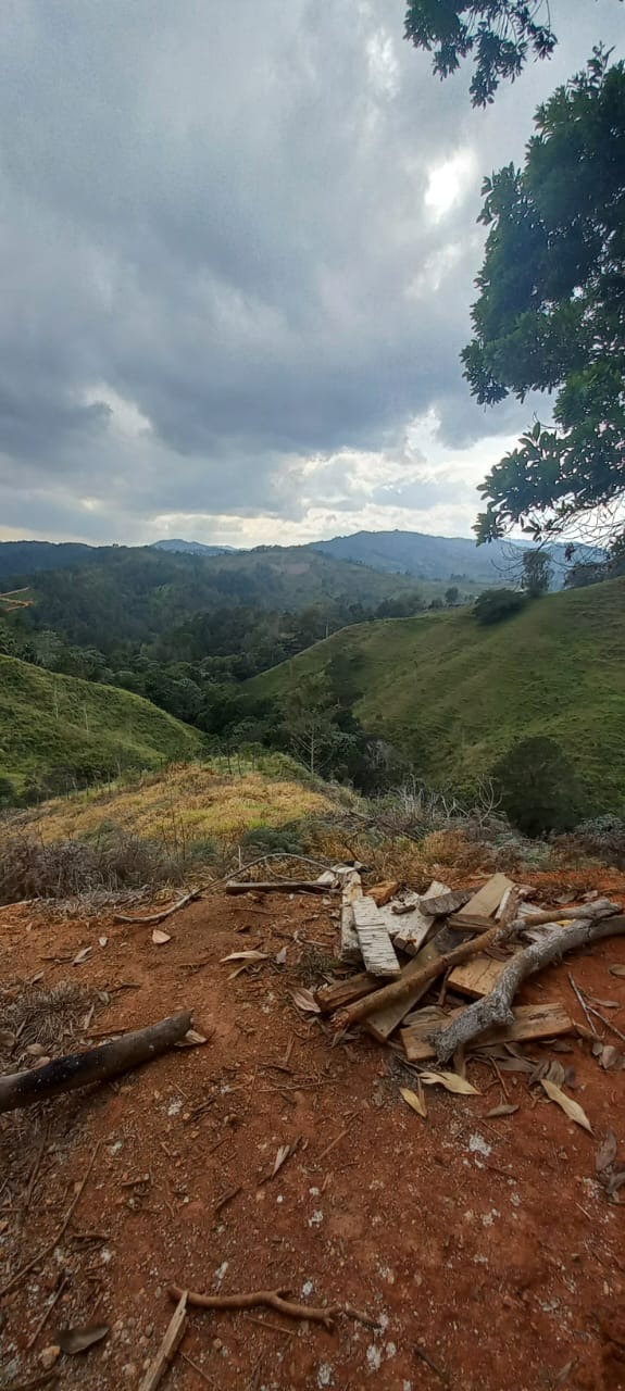 solares y terrenos - Solares Disponibles en Jarabacoa 