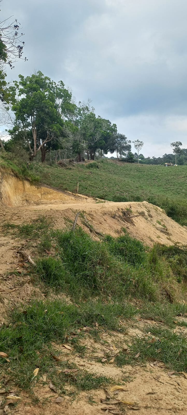 solares y terrenos - Solares Disponibles en Jarabacoa  1