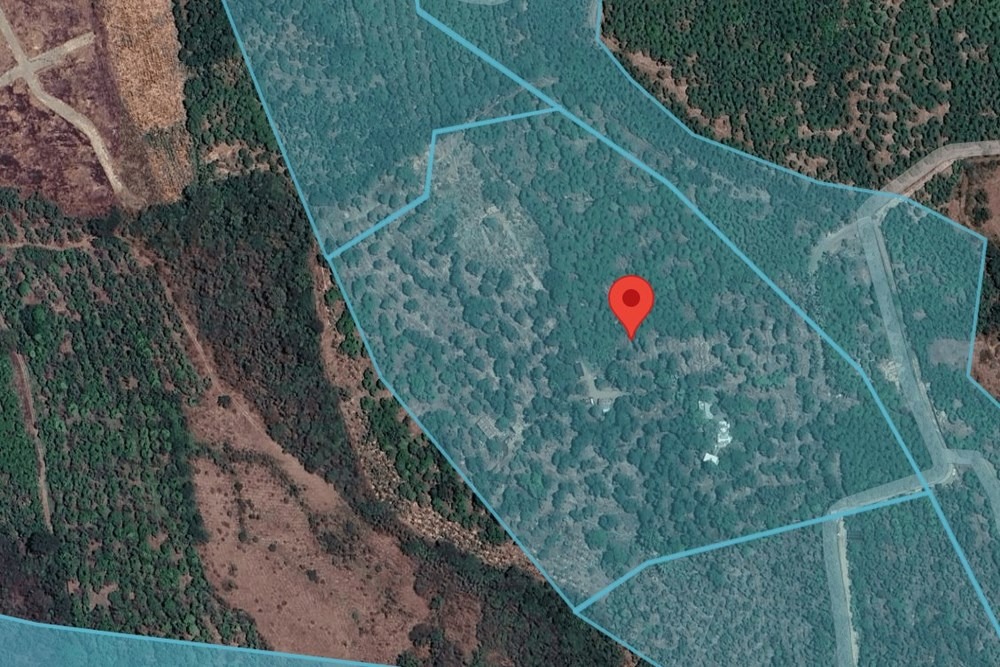 solares y terrenos - Venta de finca de mango en Baní por debajo del pre 3