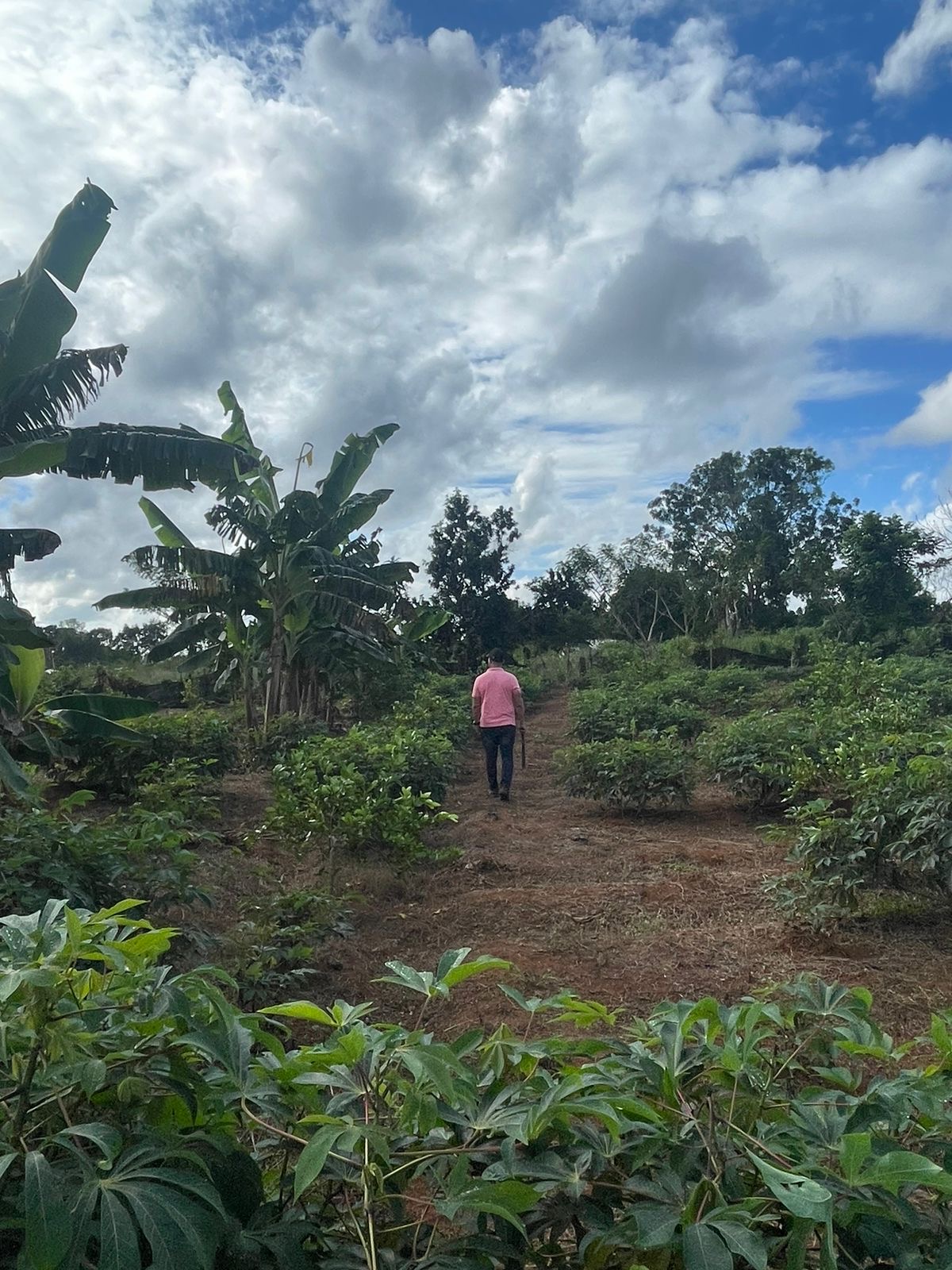 solares y terrenos - VENDO 1 FINCA EN “DON JUAN” PROVINCIA MONTE PLATA 6