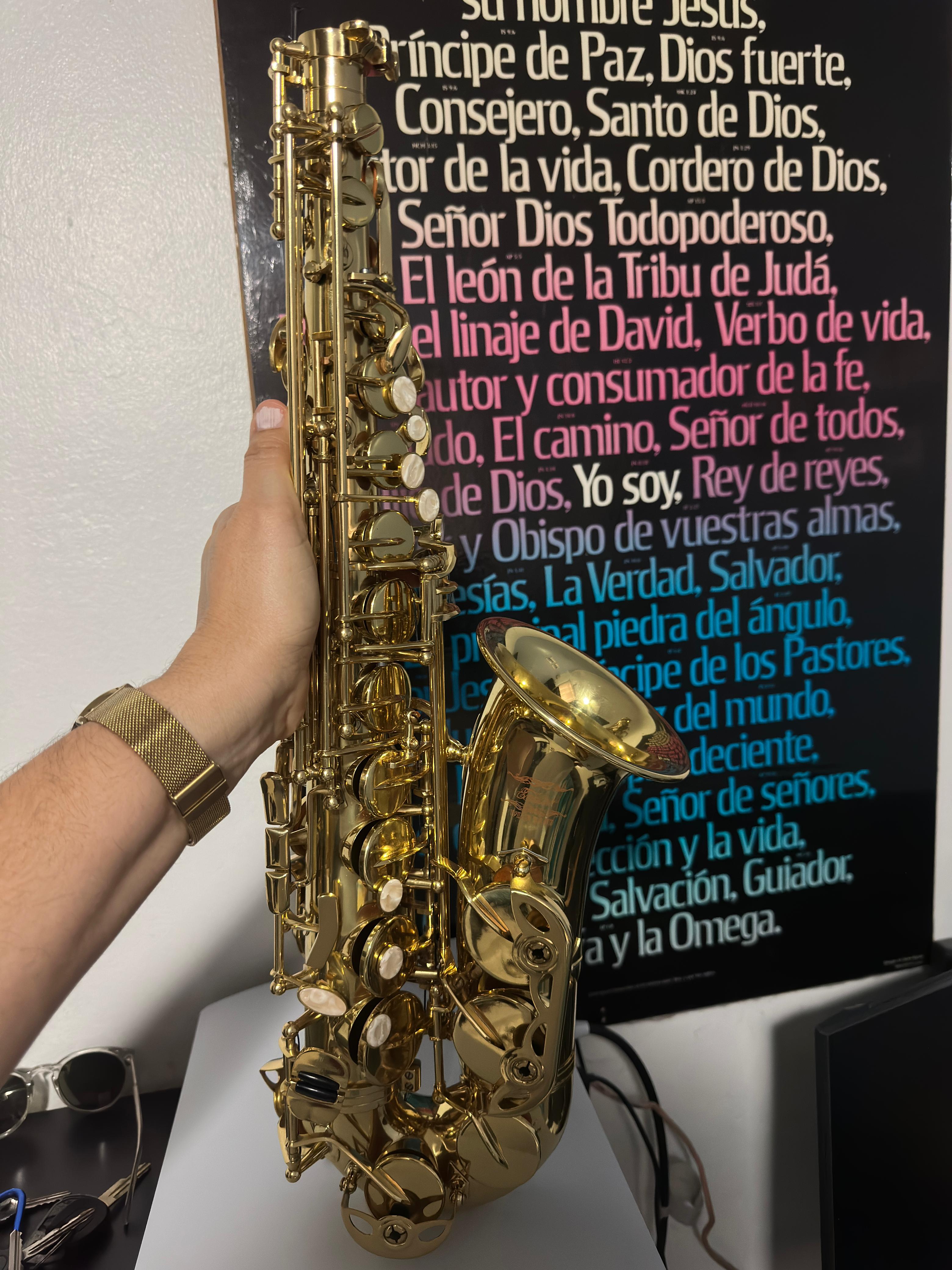 instrumentos musicales - Saxofon 6