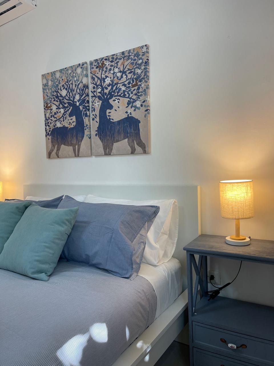 apartamentos - Apartamento amueblado en alquiler en Gazcue 7