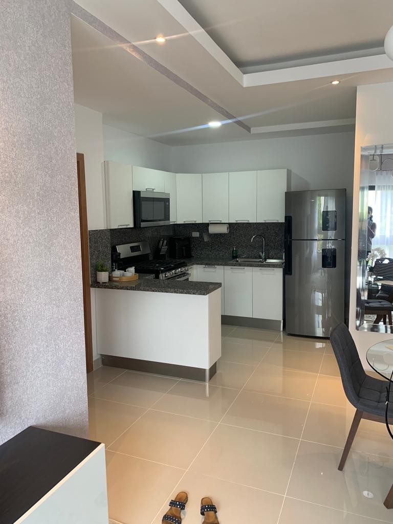 apartamentos - ALQUILER DE APARTAMENTO AMUEBLADO  EN EL EVARISTO MORALES  3