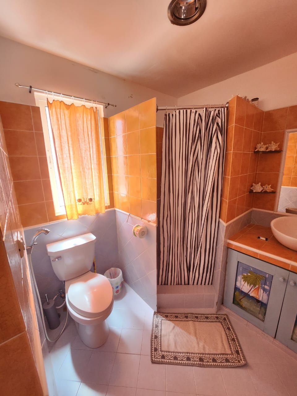 apartamentos - APARTAMENTO CÉNTRICO EN DOMINICUS 5