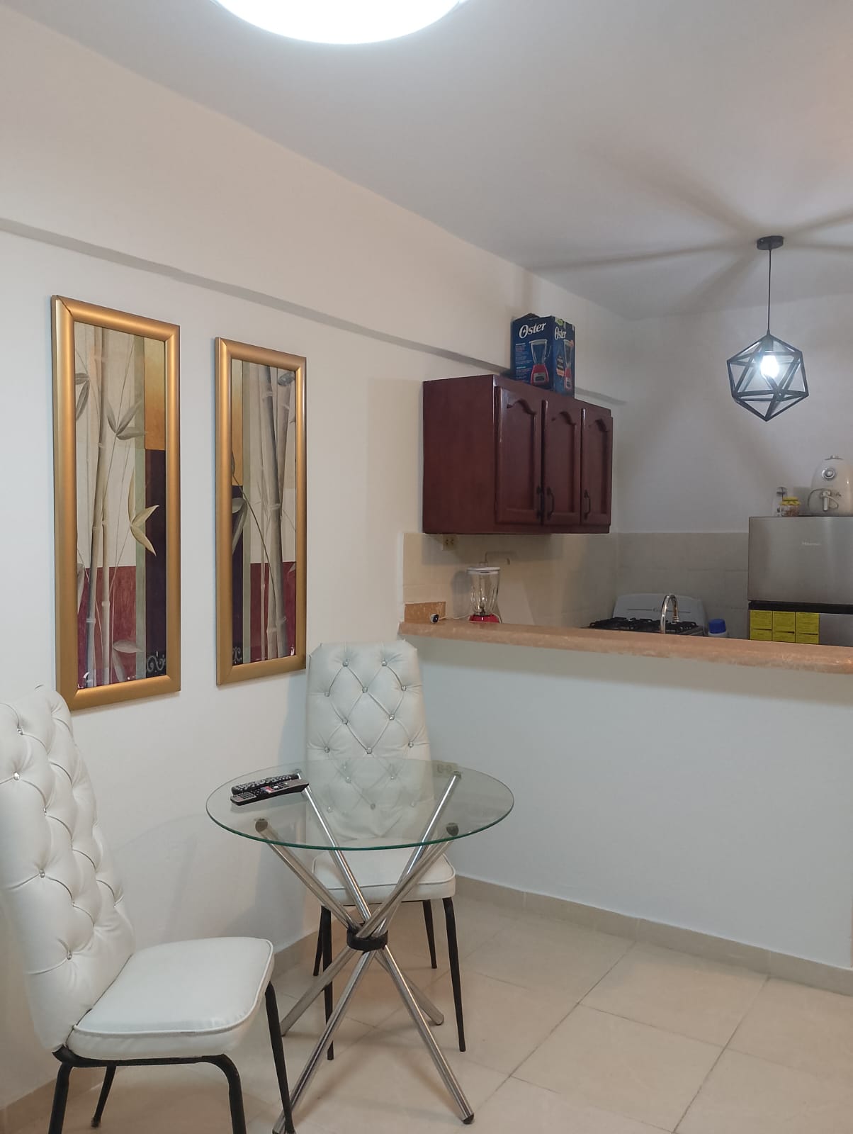 apartamentos - Alquilo apartamento amueblado de 1 hab. en Gazue 0