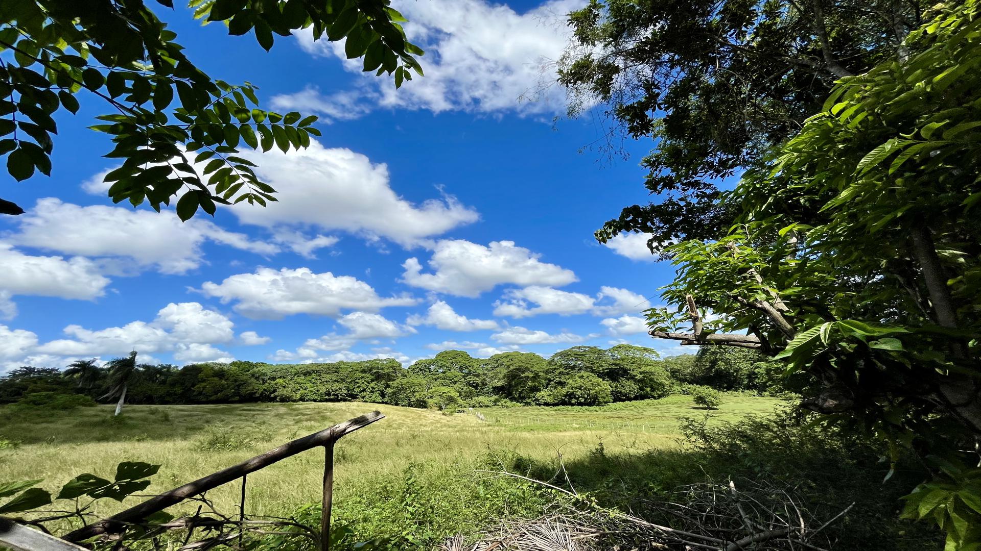 solares y terrenos - Terreno en Venta y Alquiler en la Av. Circunvalación, Santo Domingo Norte 3