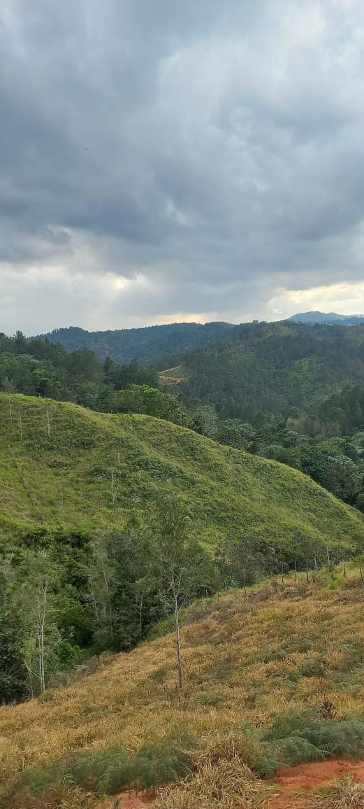 solares y terrenos - Solares Disponibles en Jarabacoa  3