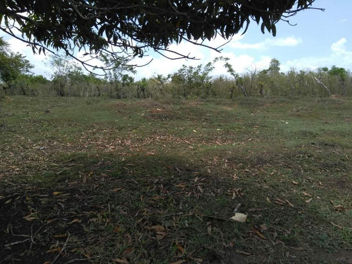 solares y terrenos - Terreno en Venta de oportunidad 7