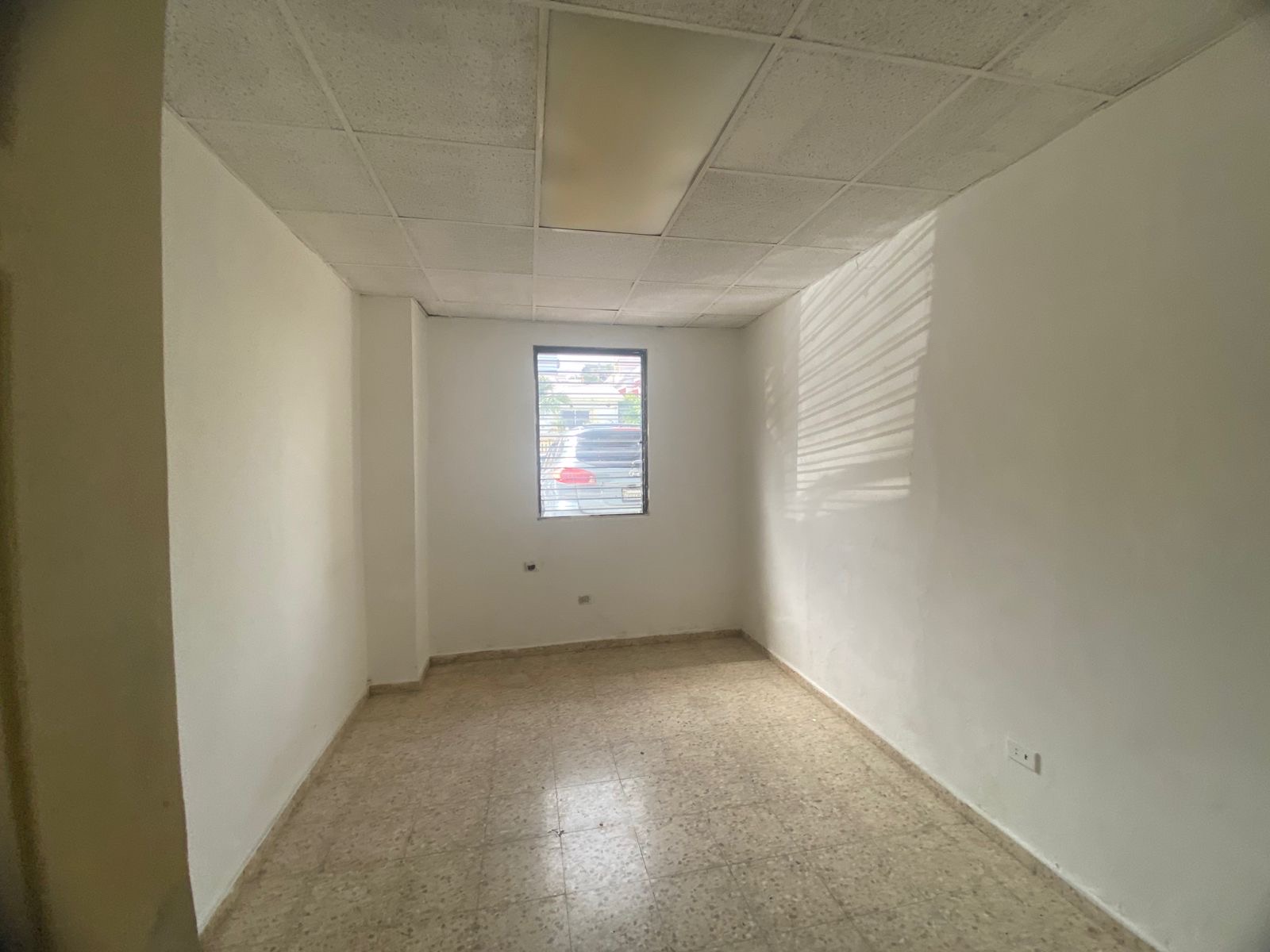 oficinas y locales comerciales - LOCAL COMERCIAL  2