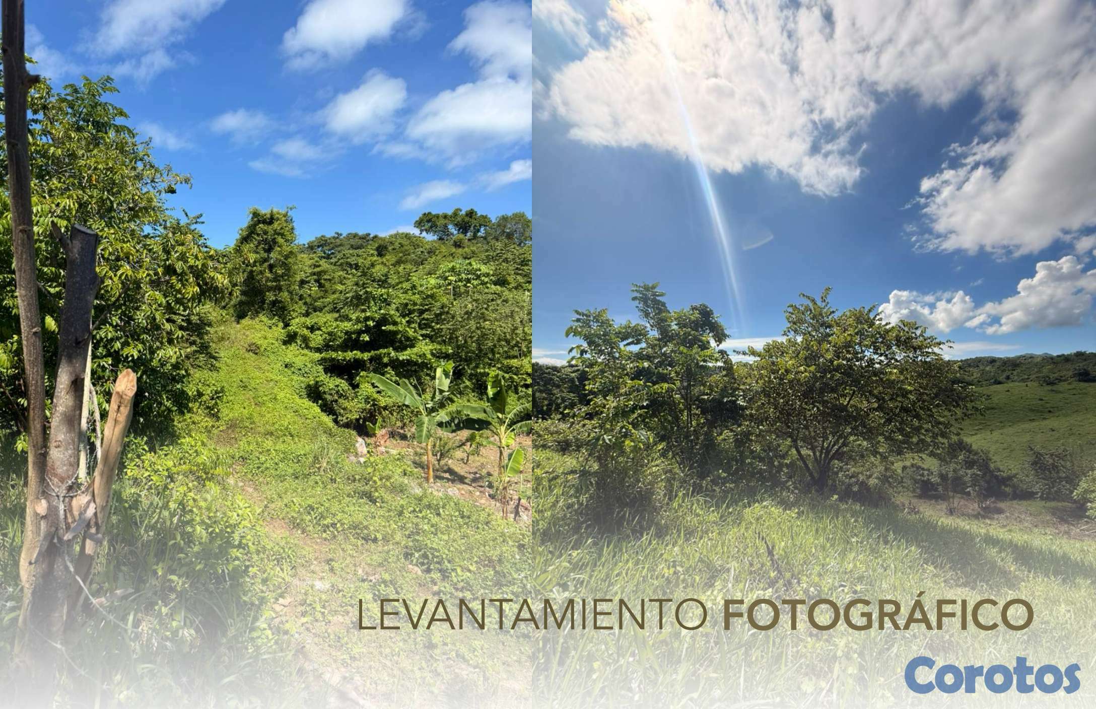 solares y terrenos - Comunidad verdaderamente ecológica en las Galeras 6