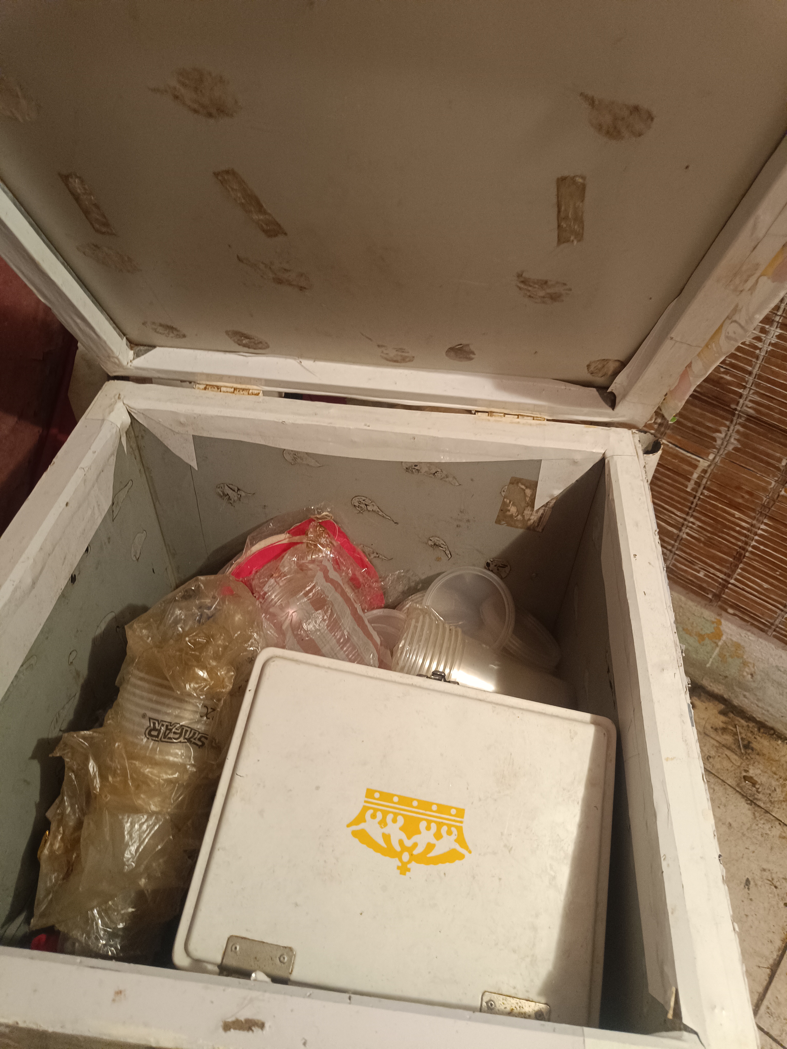 equipos profesionales - carrito de freezer  2