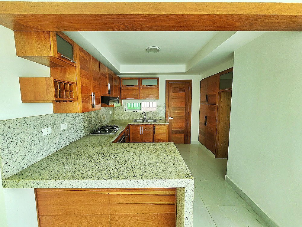 apartamentos - MODERNO APARTAMENTO VILLA MARIA SANTIAGO  4