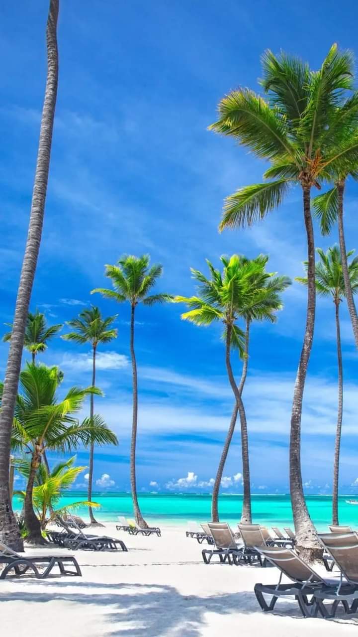 apartamentos - DIOS 📍Apartamentos de veraneo e Inversión🇩🇴 6