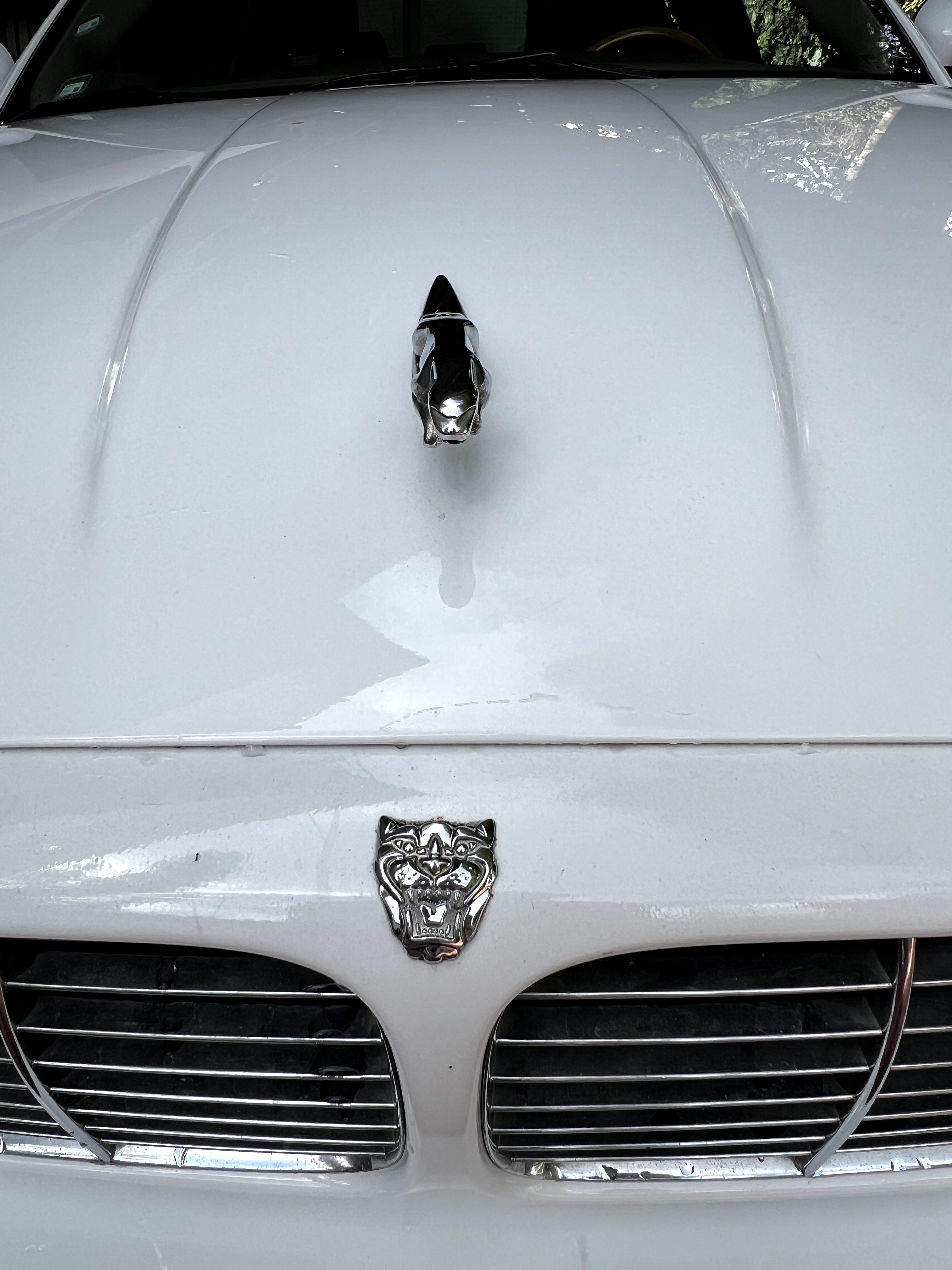 carros - Jaguar xj8, en optima condiciones 2
