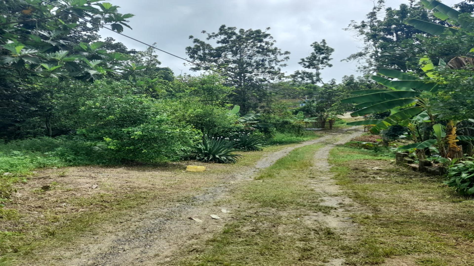 solares y terrenos - VENDO Finca en Villa Mella + Casa 250 m2 7