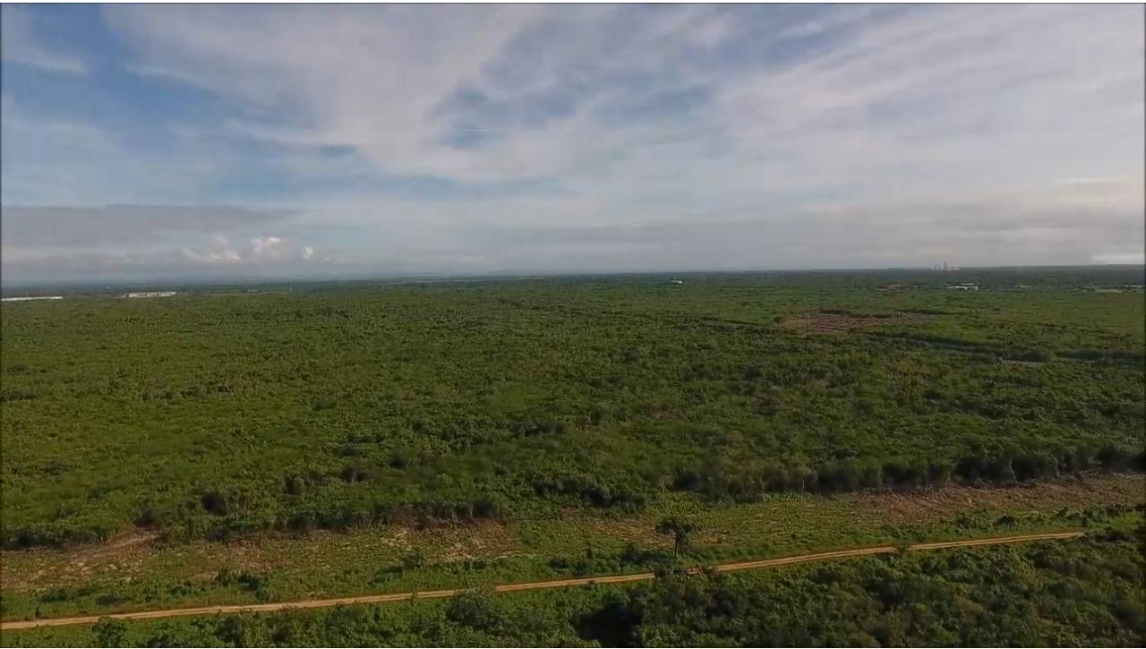 solares y terrenos - VENTA TERRENO EN BOCA CHICA REPÚBLICA DOMINICANA 2