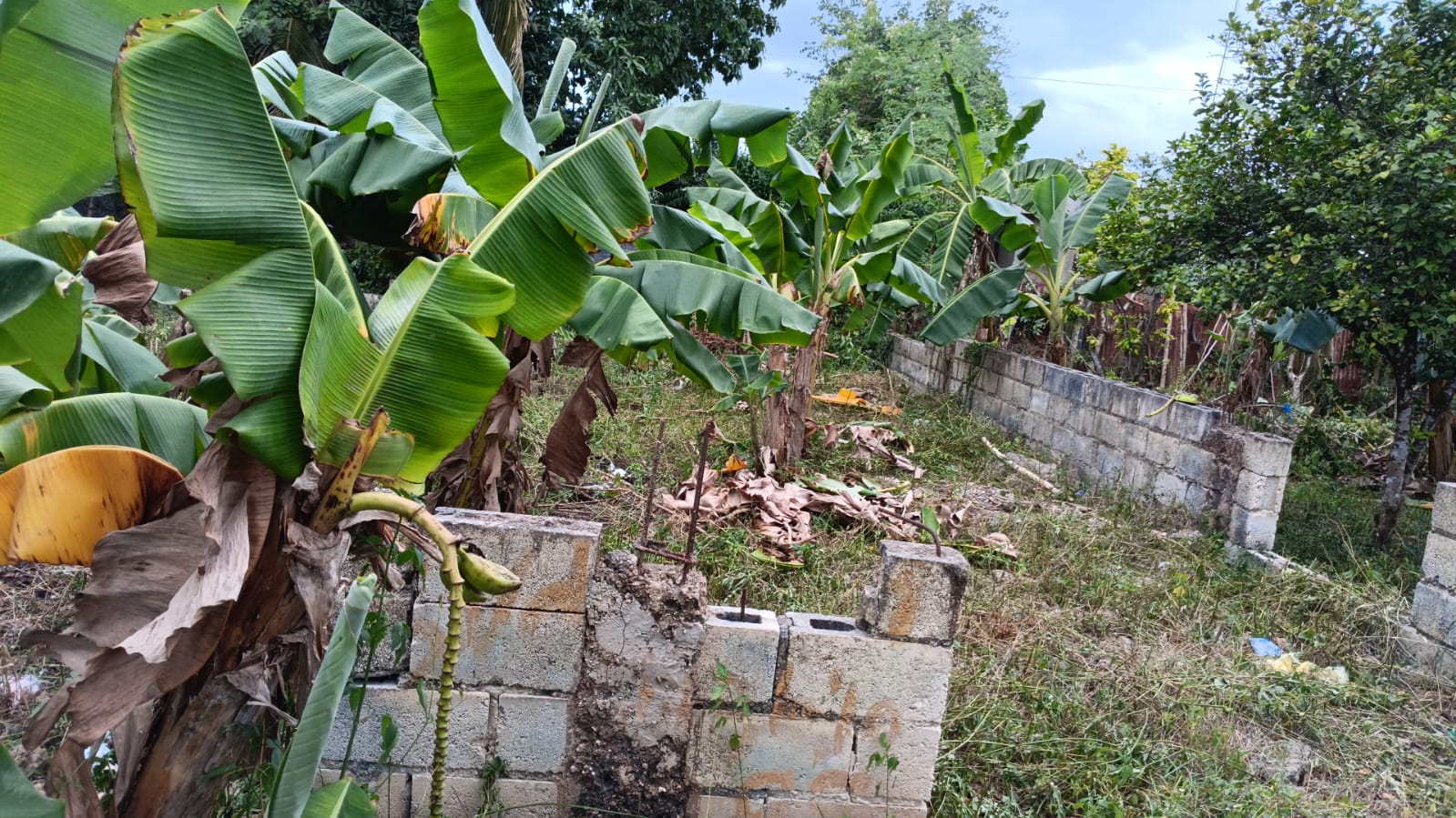 solares y terrenos - .  🏡 ¡De Oportunidad! Venta de Solar La Ro 1