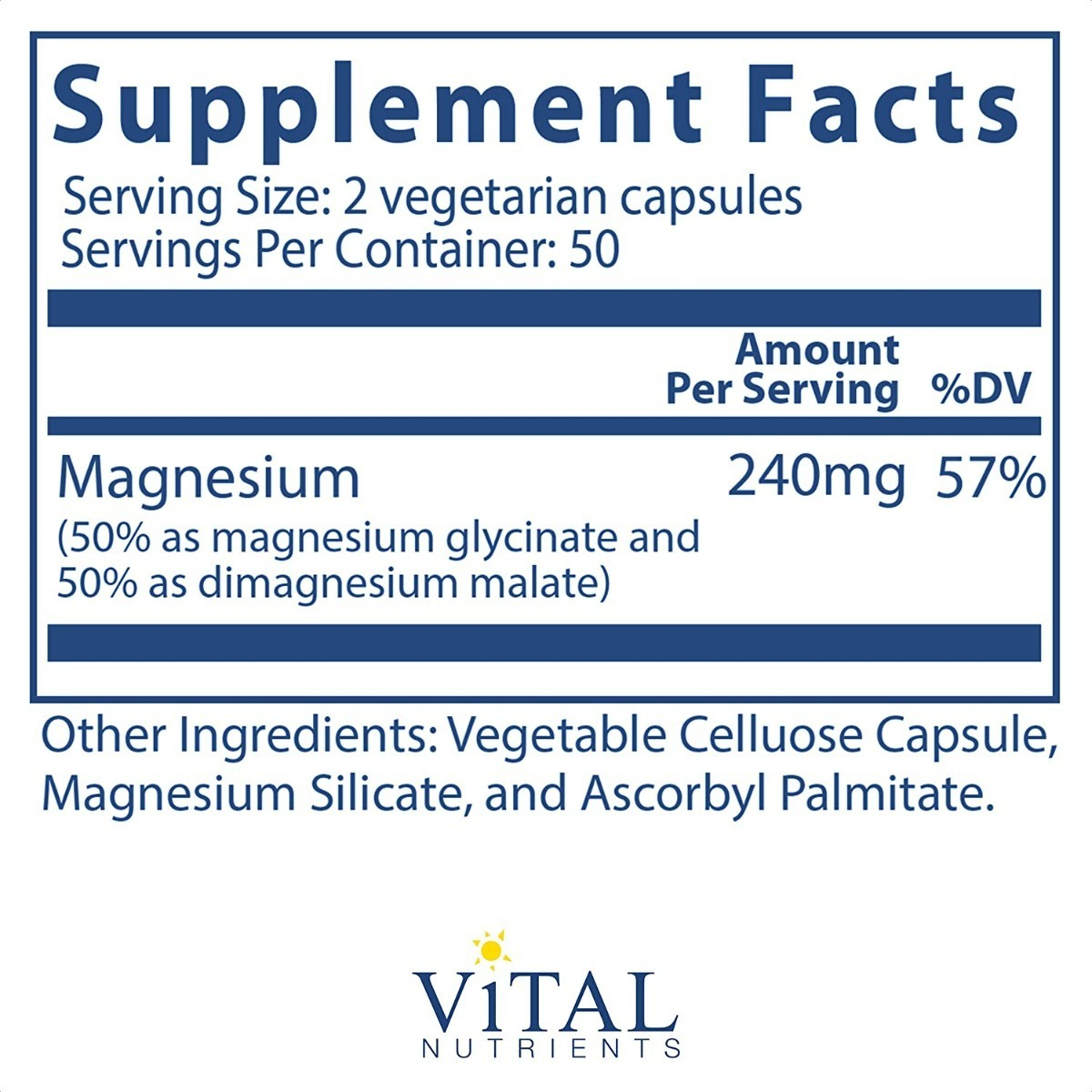 Salud y Equipamiento Médico - Malato De Magnesio 240 Mg Vital 1