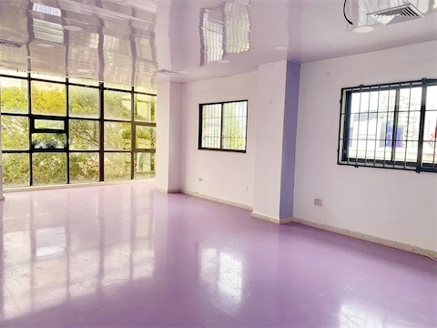 oficinas y locales comerciales - Local comercial en Piantini 2