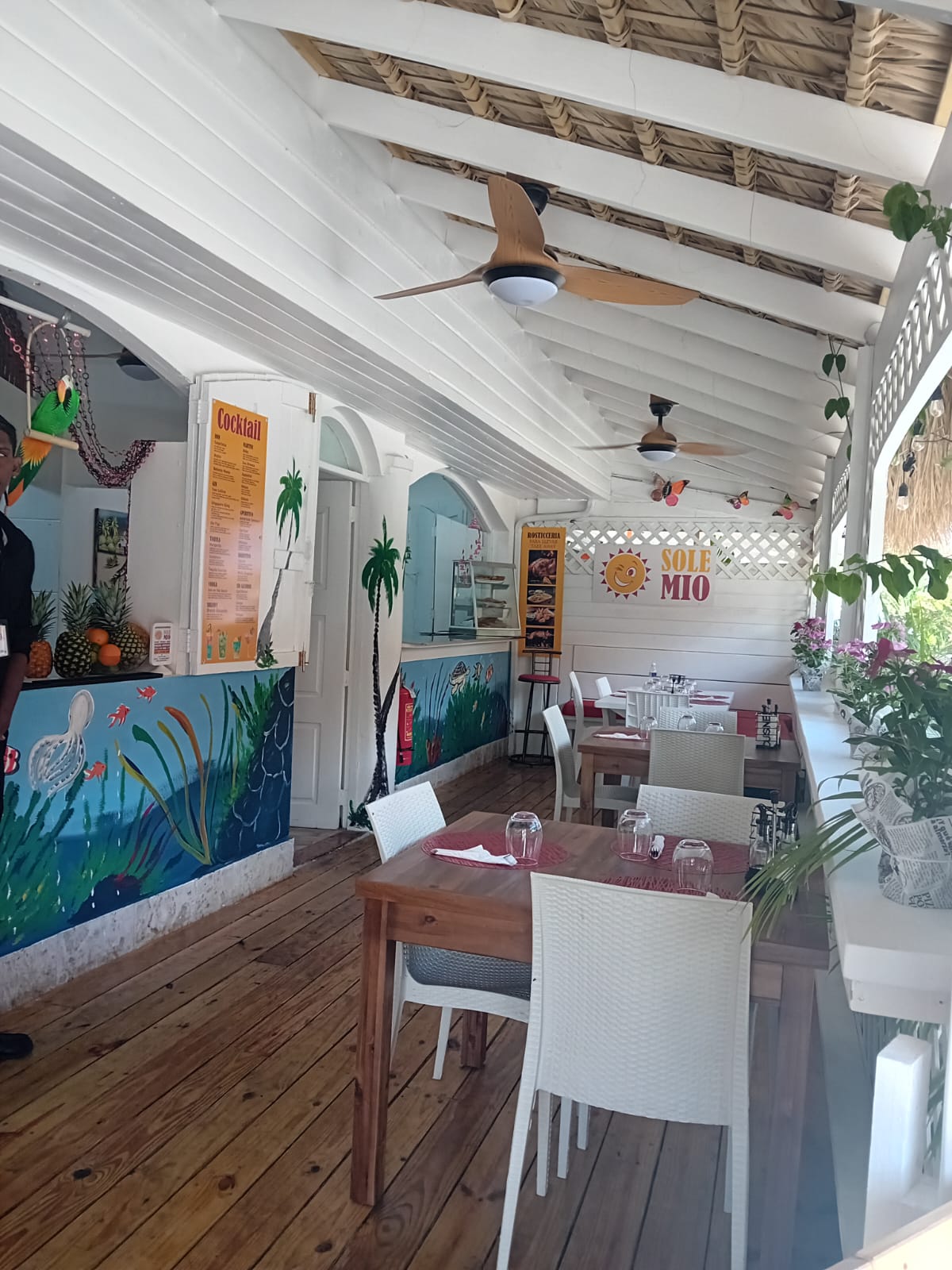 negocios en venta - Gestión de Chiringuito Bar-Restaurante en Bayahibe 3