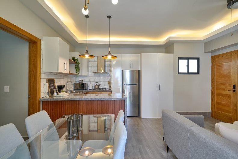 apartamentos - Alquilo apartamento amueblado con terraza privada 3